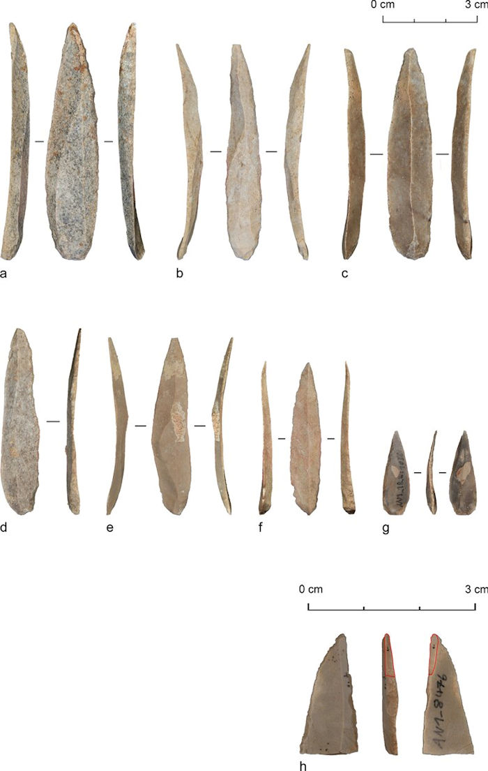 Mᴀss Production Of Stone Bladelets Led To A Cultural Shift In Paleolithic Levant