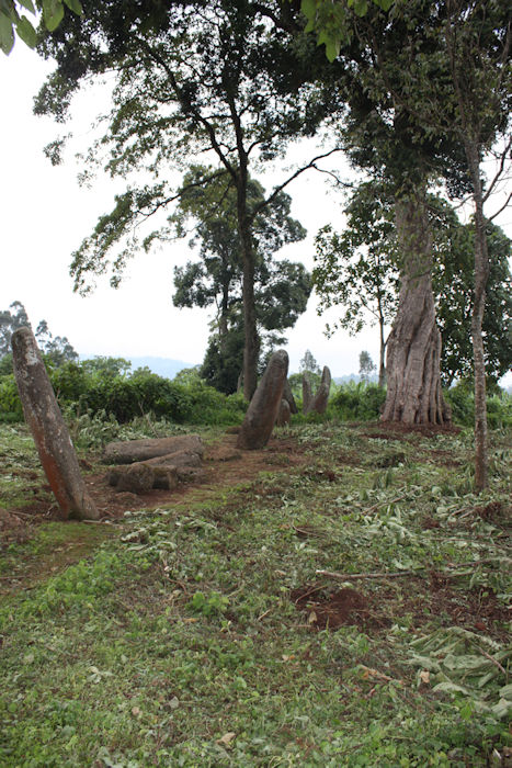 Ancient Stone Monoliths In Ethiopia Are 1,000 Years Older Than Previously Thought