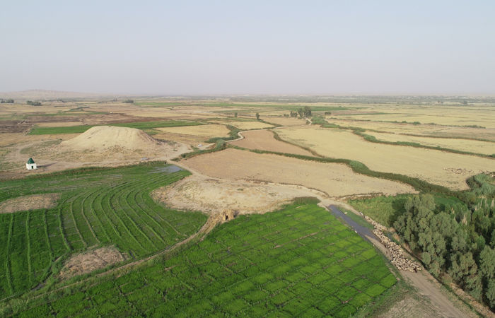 Ancient Mesopotamian Discovery Changes Our Understanding Of Early Agriculture Practices