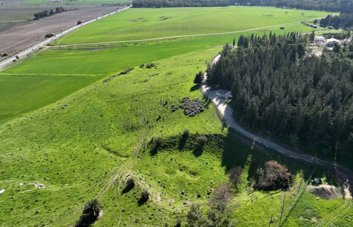 First Roman Military Amphitheater Unearthed Near Megiddo