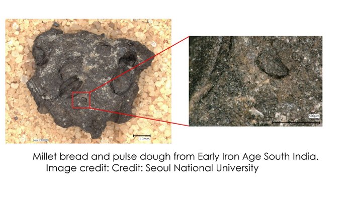 Millet bread and pulse dough from Early Iron Age South India