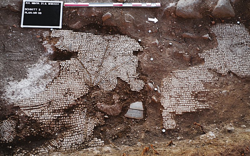 Close-up of the mosaic showing a flowering plant: In the foreground are traces of the marks made by a pickaxe when the mosaic was deliberately destroyed