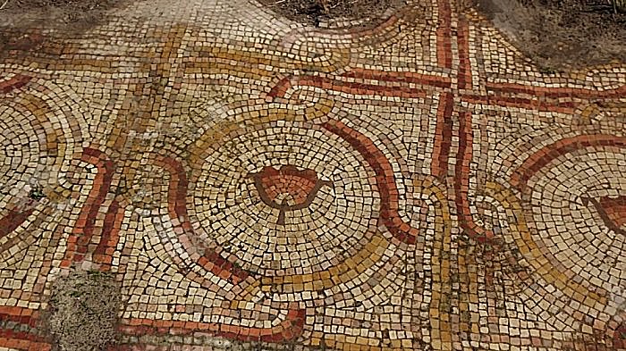 Ancient Mosaic Floor Decorated With Colorful Floral Designs Re-Uncovered After 40 Years