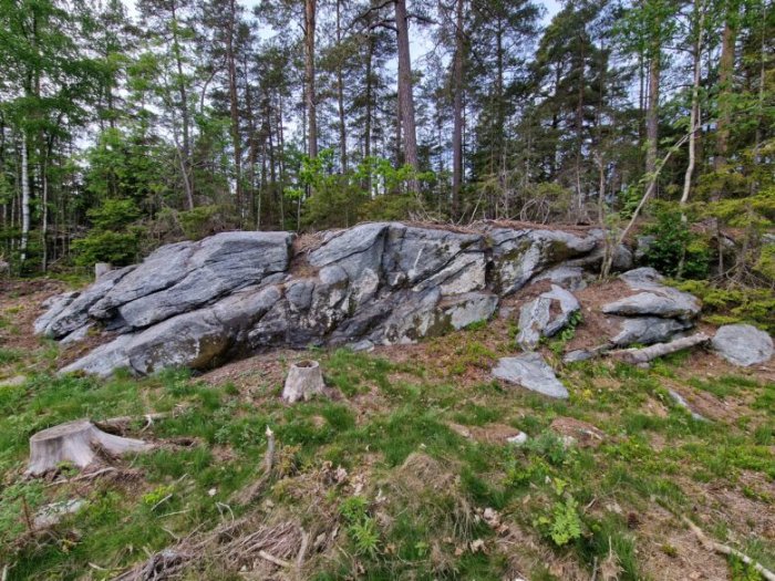 Unusual Rock With Ancient Paintings Discovered By Hiker In Norway