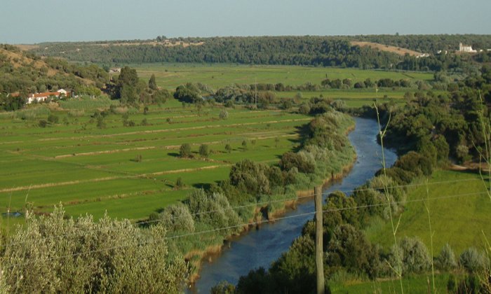 View from the archaeological site Arapouco towards the Sado Valley, Portugal. Credit: Rita Peyroteo-Stjerna