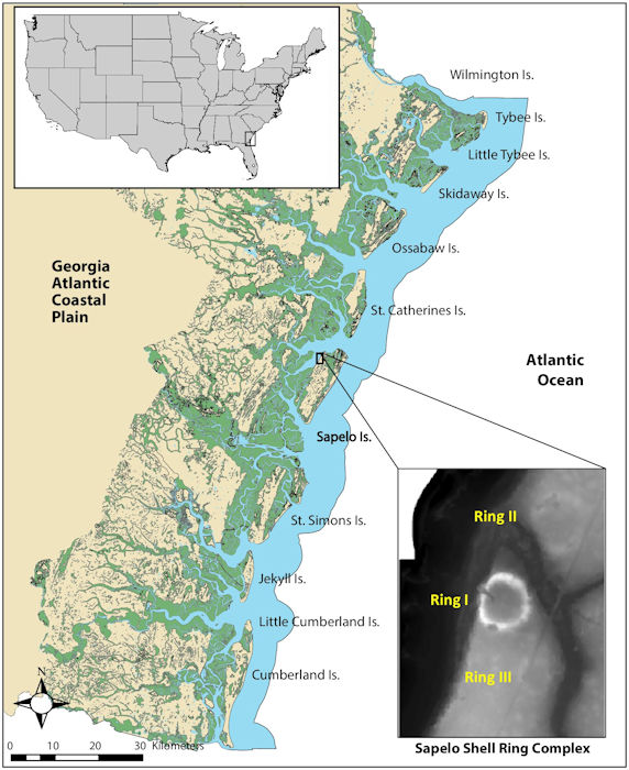 Why Were The 4,000-Year-Old Native American Shell Ring Villages Suddenly Abandoned?