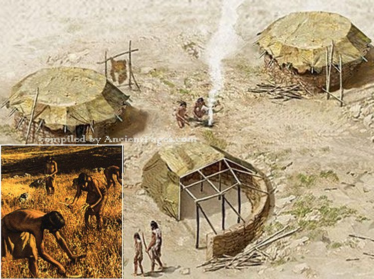 Natufian Culture was wiped out by tsunami (12,500-12,000 years ago)