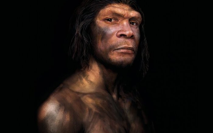 New Details On Neanderthals - Revealed By Museum Exhibition In Norway