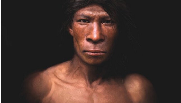 New Details On Neanderthals - Revealed By Museum Exhibition In Norway