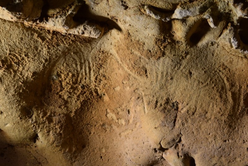 Neanderthal Cave Engravings Identified As Oldest Known, More Than 57,000 Years Old