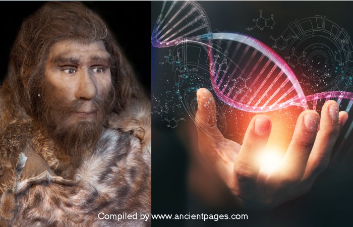 Neanderthals Inherited At Least 6% Of Their Genome From A Now-Extinct Lineage Of Early Modern Humans