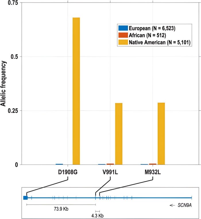 People Who Carry Neanderthal Gene Variants Have Greater Pain Sensitivity