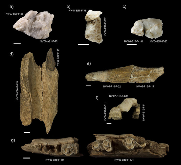 New Clues To Behavior Of Neanderthal Hunting Parties