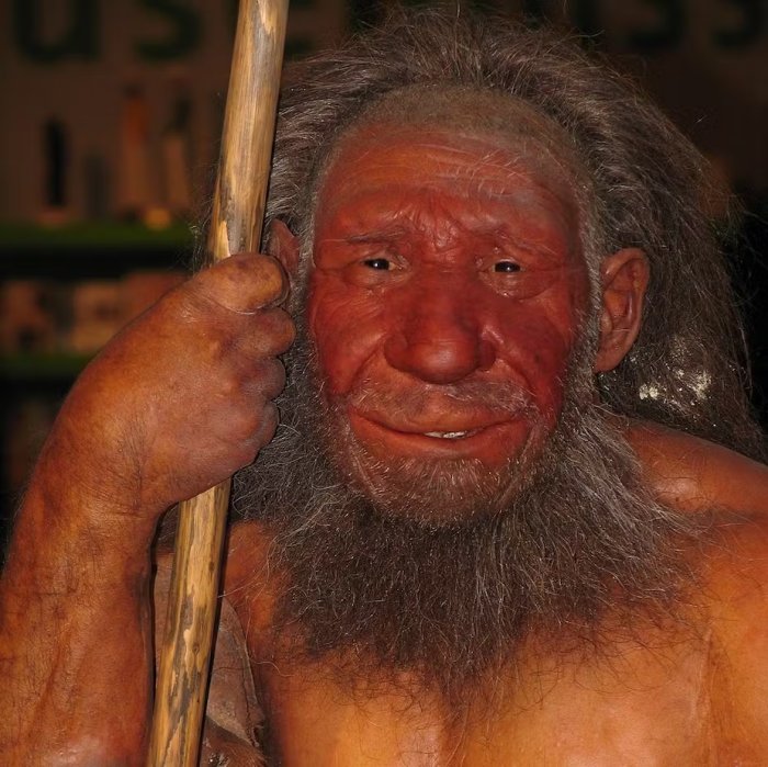 Do Neanderthal Genes Determine Our Skin Color And Sleep Patterns?