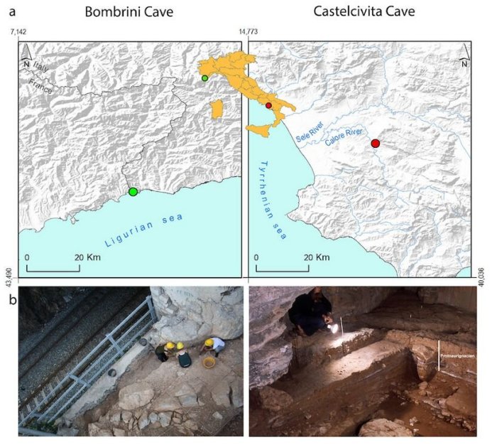 Major Discovery Reveals Neanderthals In Italy Engaged In Plant Food Processing