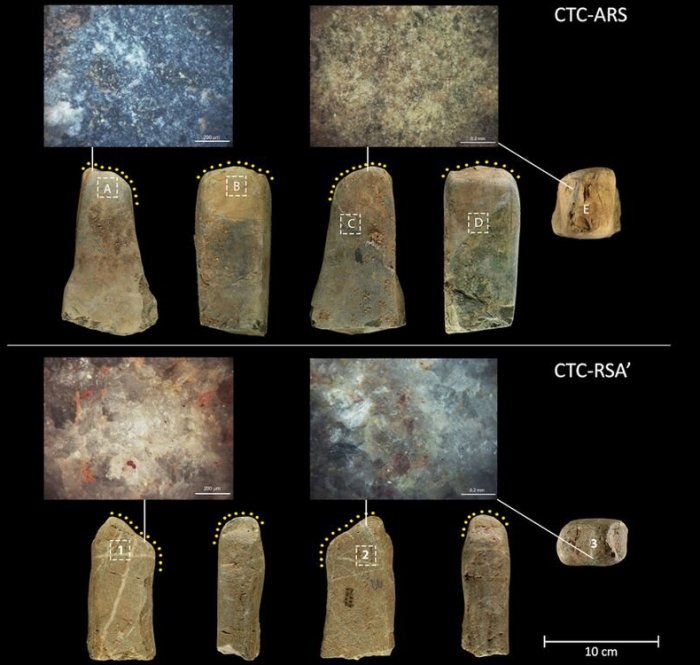 Major Discovery Reveals Neanderthals In Italy Engaged In Plant Food Processing