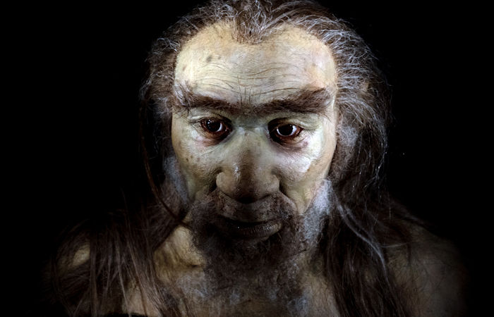 Modern Humans Carrying The Neanderthal Variant Have More Protection Against Oxidative Stress