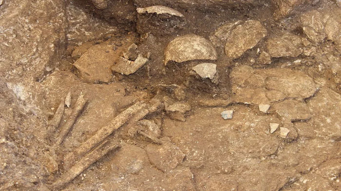 Ancient DNA Unravels The Mystery Of Huge 6,500-Year-Old Cemetery And The Tomb Of A 'Masculine Woman' In Normandy, France