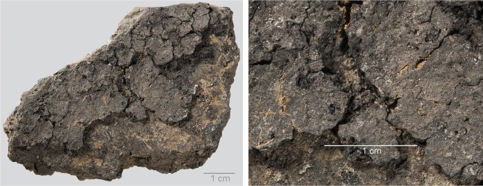 Burnt Food Remains In Neolithic Cooking Pot Sheds Light On 5,000-Year-Old Food Preparation