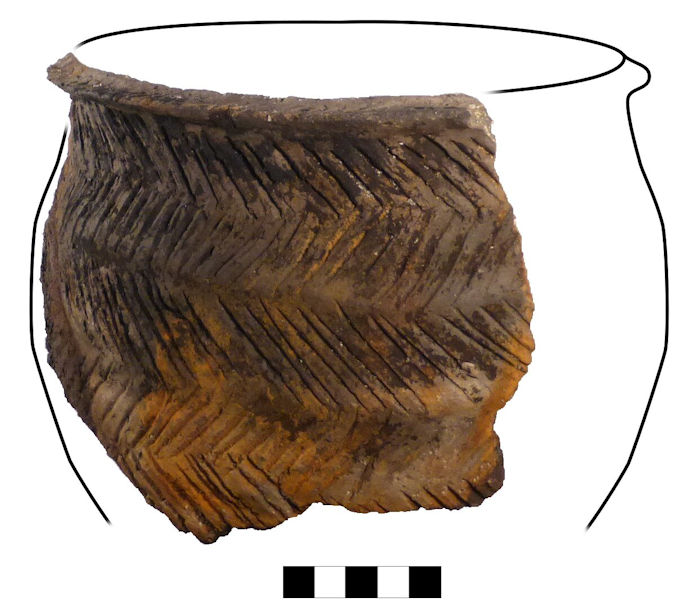 Neolithic Culinary Traditions Uncovered