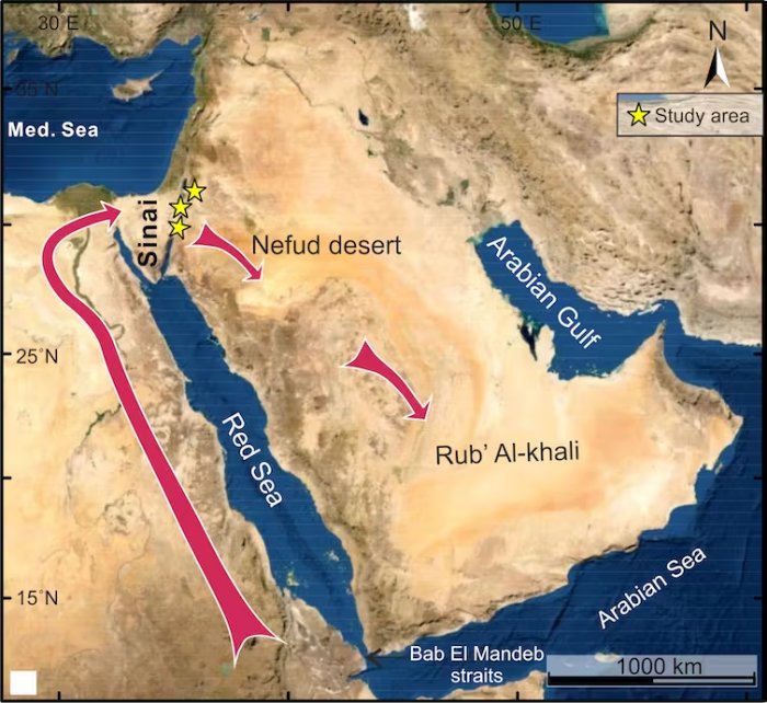 New Path For Early Human Migrations Contradicts A Single 'Out Of Africa' Theory