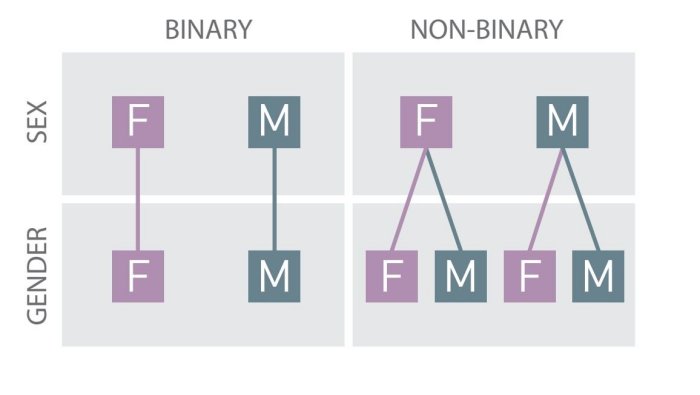  Elusive Non-Binary Gender In Prehistoric Europe - A Forgotten Minority