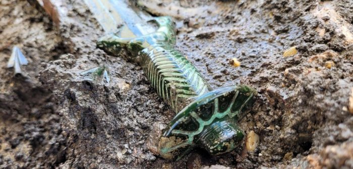 Extraordinarily Well-Preserved 3,000-Year-Old Octagonal Sword Unearthed In Germany