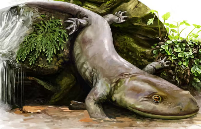 Oldest European Salamander Fossil Discovered In Scotland - It's Unlike Anything Alive Today