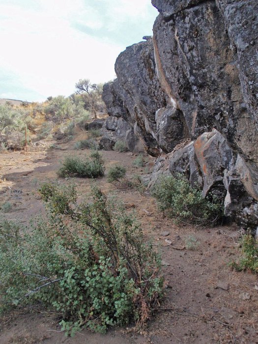 18,000-Year-Old Relics Discovered In Oregon - Oldest Home In North America?