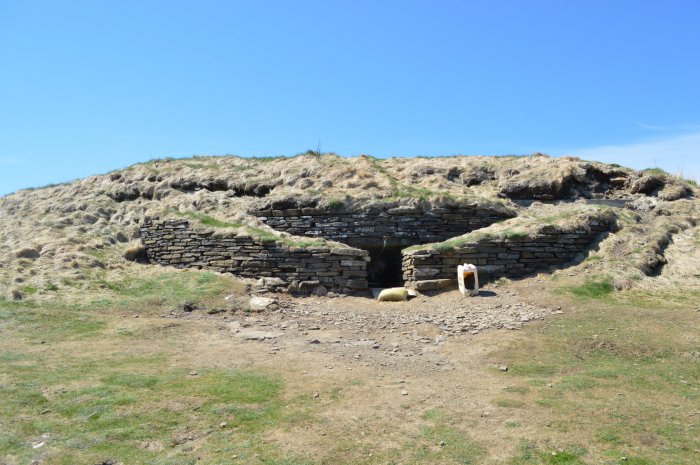 Ancient Europeans Ate Seaweed And Freshwater Plants - Evidence Found