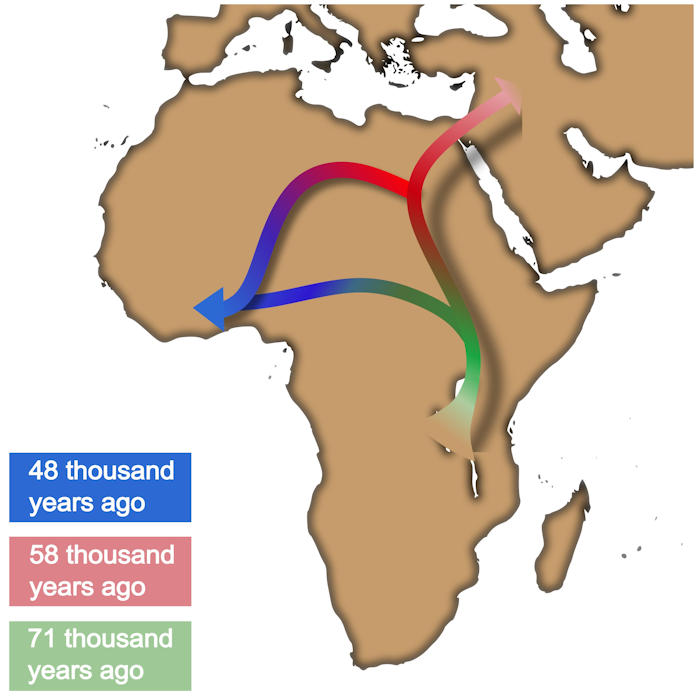 Artificial intelligence suggests a new narrative for the Out of Africa process