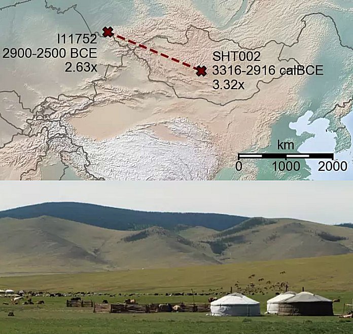 Revealing Relatives In Ancient DNA With Unprecedented Precision