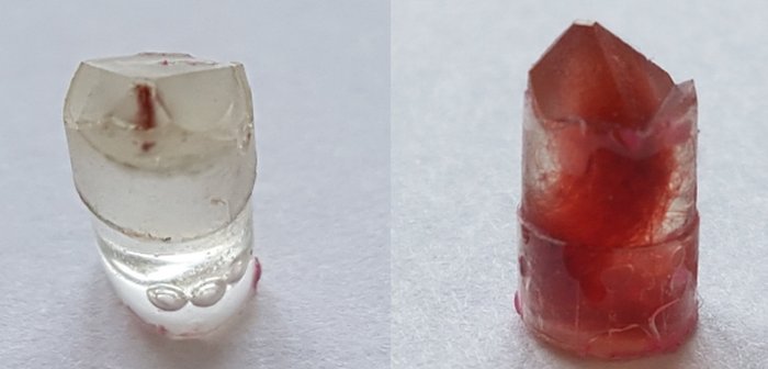 Prepared for analysis using an x-ray fluorescence microscope: Fibres from the historical Pazyryk carpet embedded in epoxy resin (left).The image on the right shows standard samples that the researchers fermented and dyed themselves as a comparison. Credit: FAU/Dr. Andreas Späth