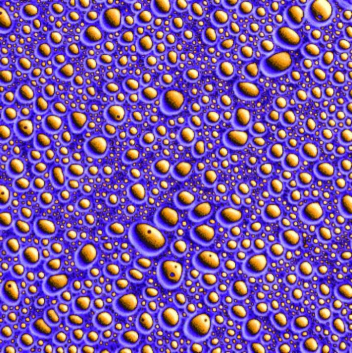 Can Peptide Droplets Explain The Emergence Of The First Living Organisms On Earth?