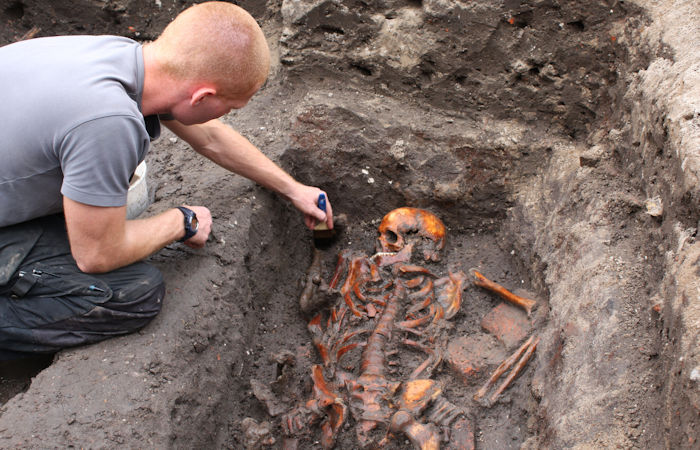 Evolution Of Plague Over Hundreds Of Years In Scandinavia Documented By Scientists