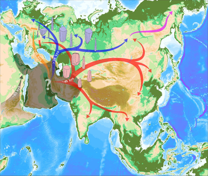 A Population Out Of Africa Explains East Asian Lineages In Europe 45,000 Years Ago