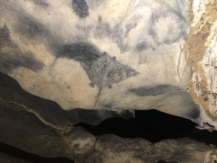 New Dating Of Intriguing Cave Art Reveals History Of Puerto Rican People