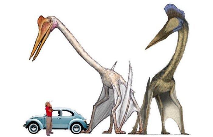 Meet Quetzalcoatlus - World's Largest Flying Animal Had A Wingspan Of Up To 52 Feet (15.9 m)