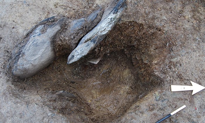  Stonehole 7, after removal of sediment filling the emptied socket, but with the stone packing still in place (viewed from the east).