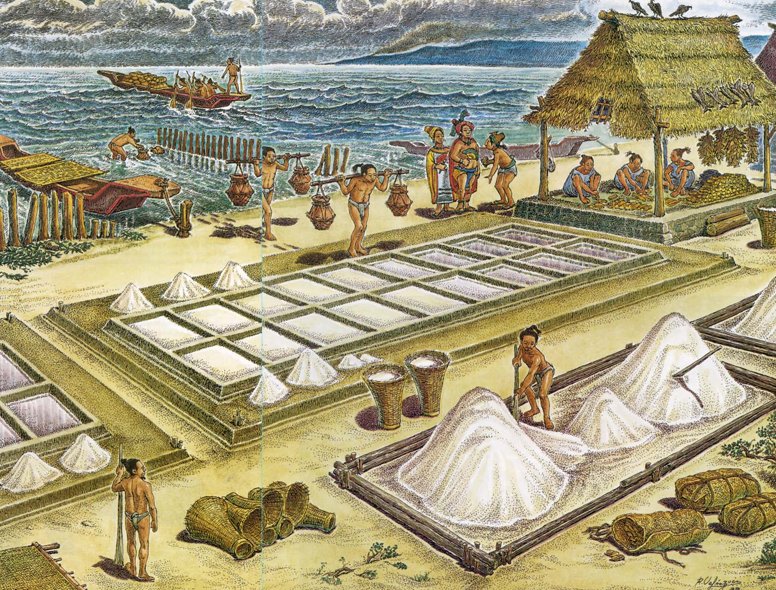 Reconstruction of a town dedicated to the production of salt. Drawing: Raúl Velázquez Olivera / Raíces