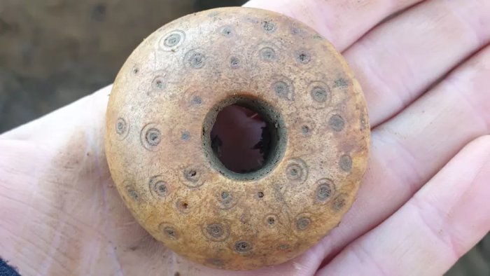 Unknown Saxon Village And Bronze Age Artifacts Found Near Ely, Cambridgeshire 