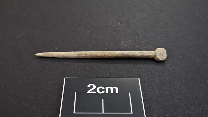 Unknown Saxon Village And Bronze Age Artifacts Found Near Ely, Cambridgeshire