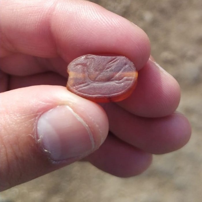 Rare 2,800-Year-Old ᴀssyrian Scarab Amulet Found In Lower Galilee