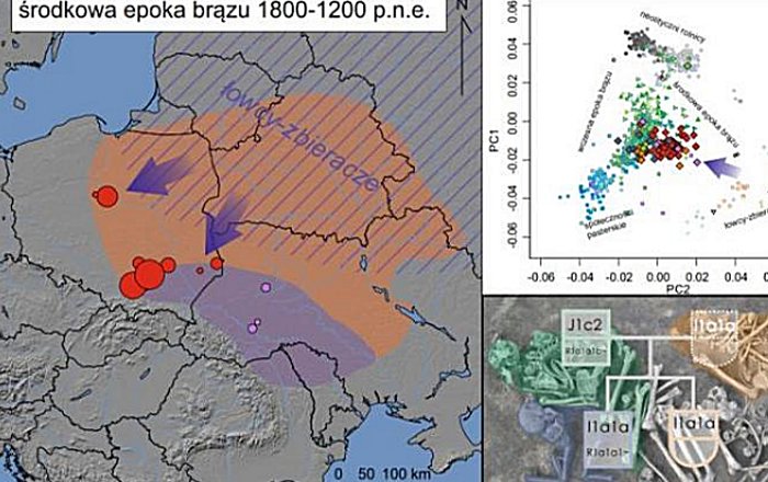 Great Migrations Took Place In Poland And Ukraine In Bronze Age