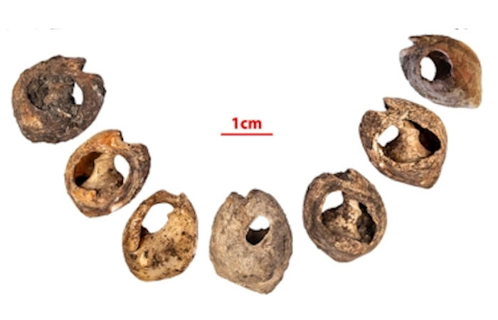 142,000-Year-Old Shell Beads Found In A Cave Are The Oldest Known Evidence Of Human Communication