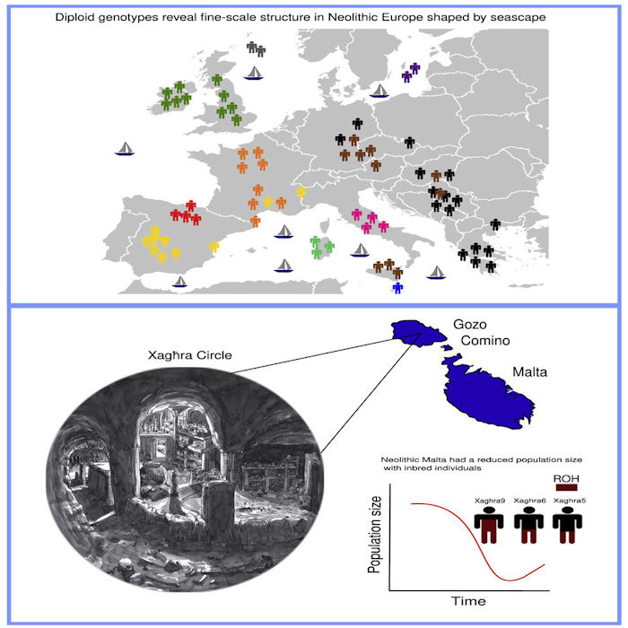 How Ancient Seascapes Shaped The Genetic Structure Of European Populations