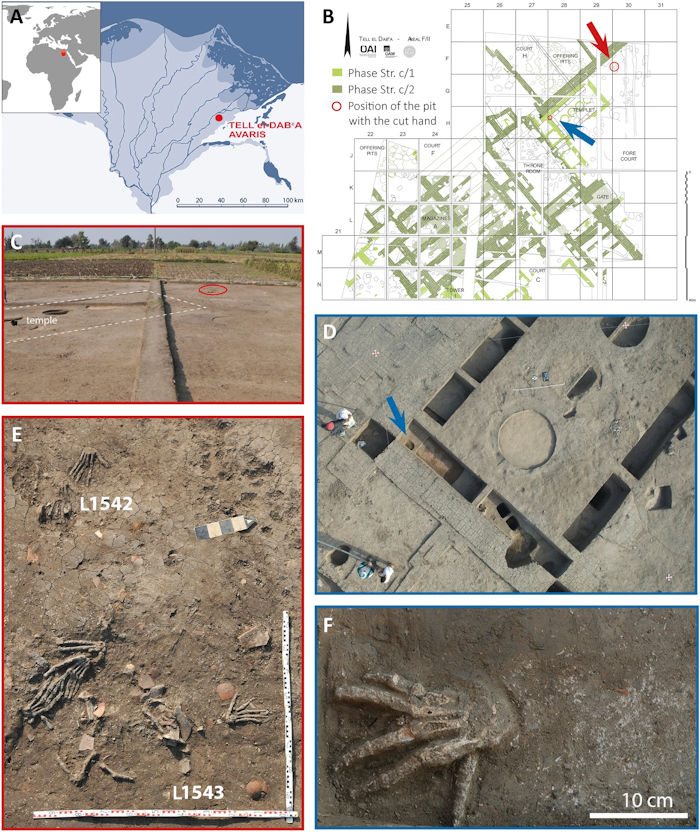 Mysterious Ancient Egyptian Severed Hands Practice Investigated By Scientists