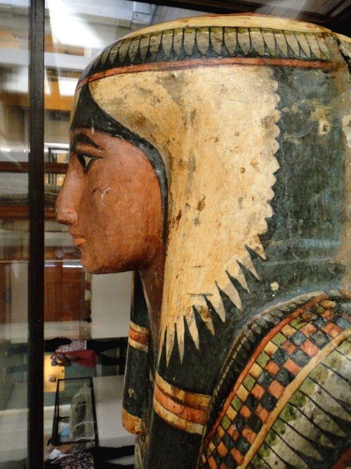 Sha-Amun-en-su - Tragic Fate Of Ancient Egyptian Priestly Singer's Unopened Sarcophagus