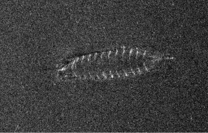 Sonar Images Reveal The Existence Of A 700-Year-Old Shipwreck At The Bottom Of Lake Mjøsa, Norway