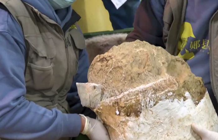 Fossilized Million-Year-Old Human Skull Of Yunxian Man Excavated In China